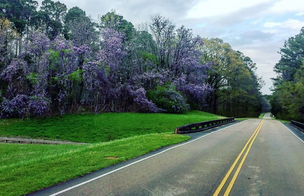 Noxubee Hills Route Scenic Byway