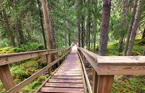 Nuuksio National Park