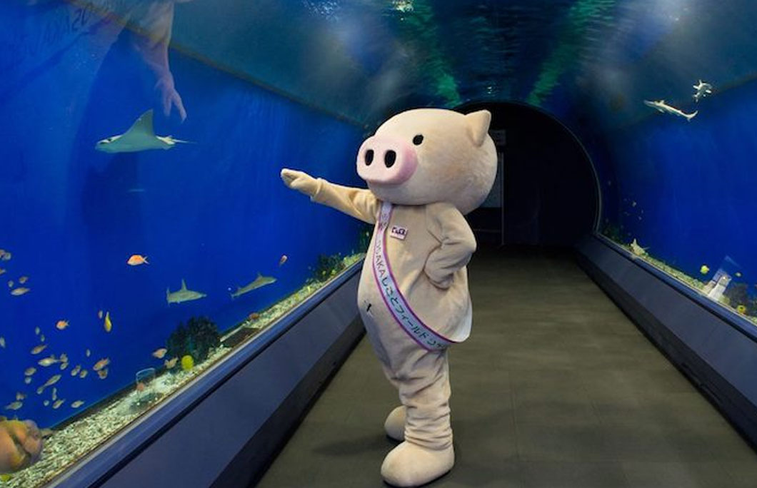 One of the largest aquariums in the world is in Osaka