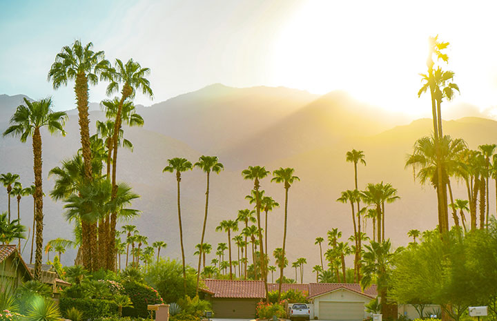 Palm Springs