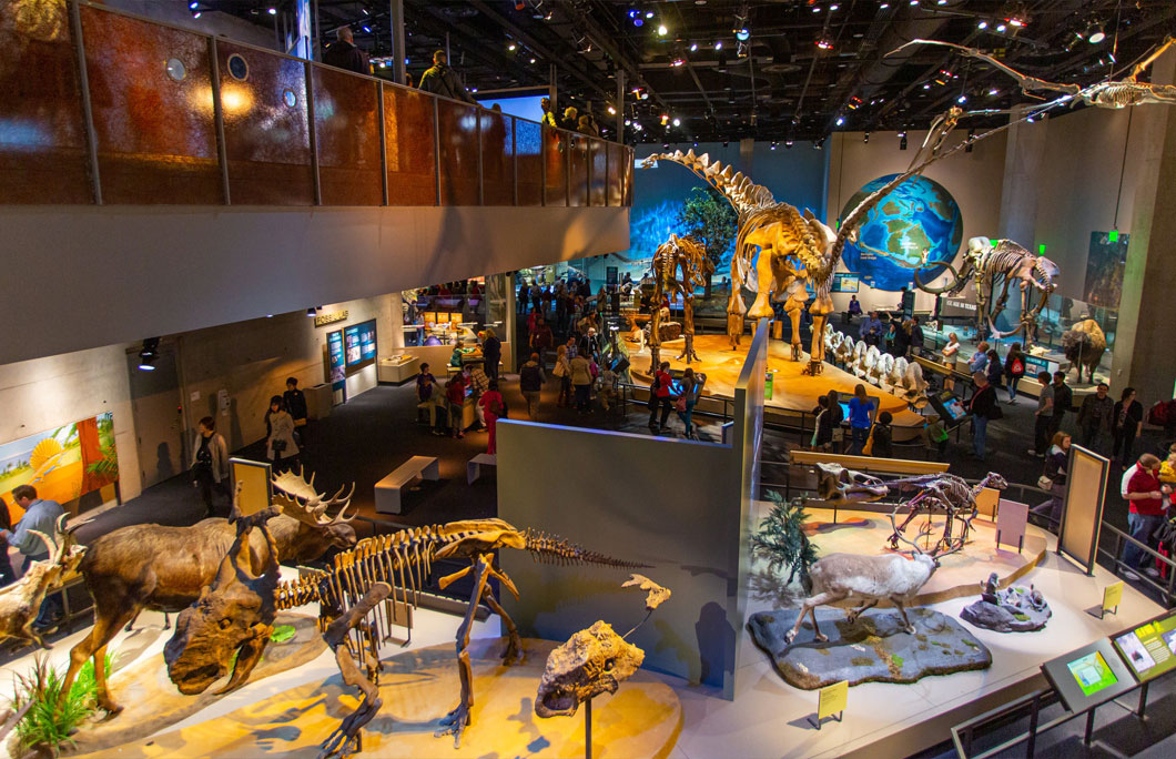 4. Perot Museum of Nature and Science
