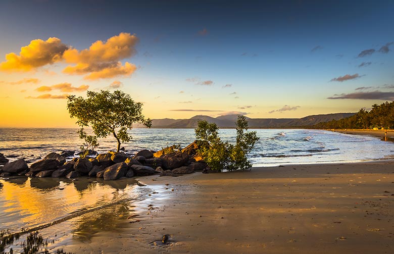 Port Douglas & The Daintree