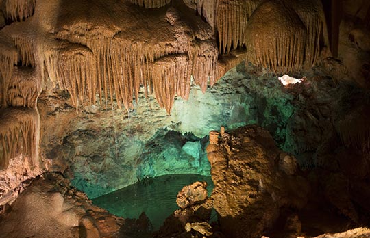 Postojna Cave