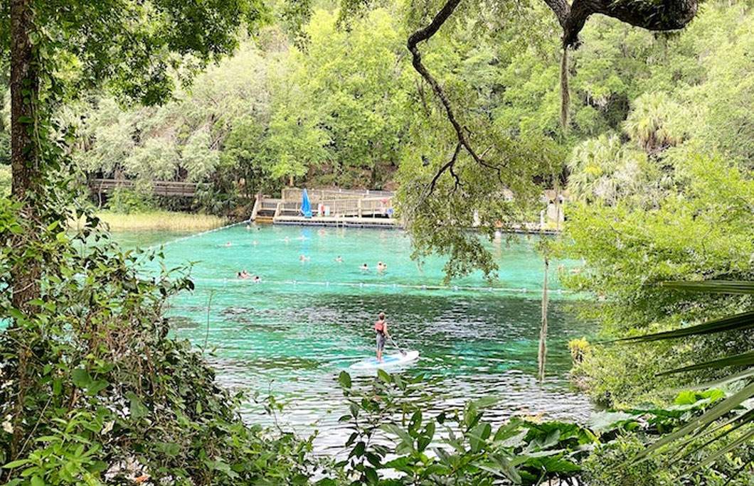 6. Rainbow Springs