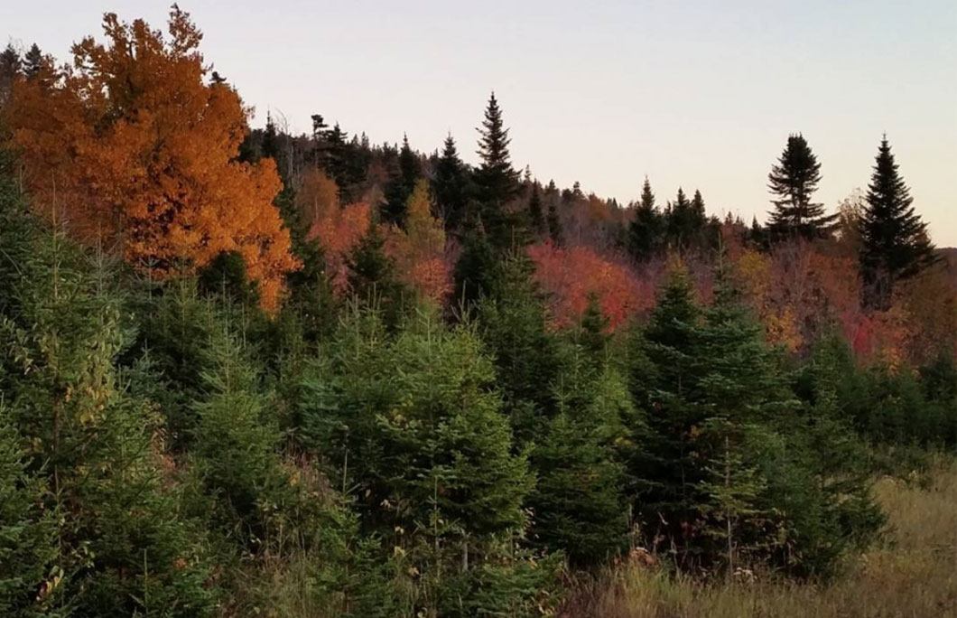 Rangeley Lakes National Scenic Byway