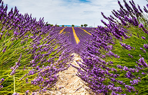 Aix-en-Provence