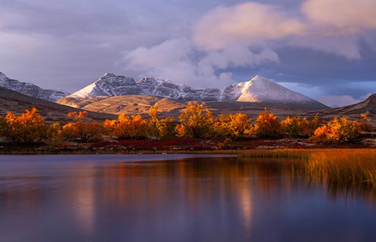 Rondane