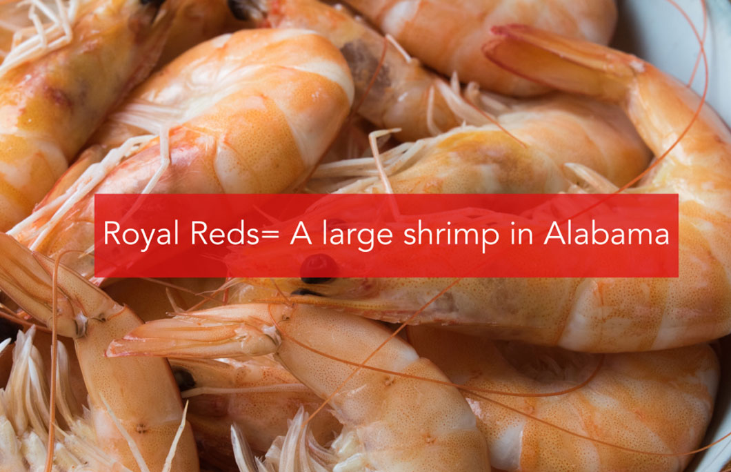 Royal Reds= A large shrimp common in Alabama that has a similar taste to lobster