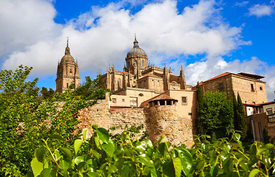 Salamanca Cathedral Facade