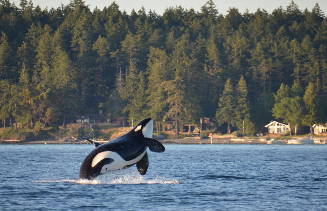 12. San Juan Islands, Washington