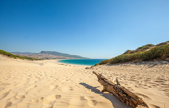 Sand Dune Of Bolonia Beach in Cadiz
