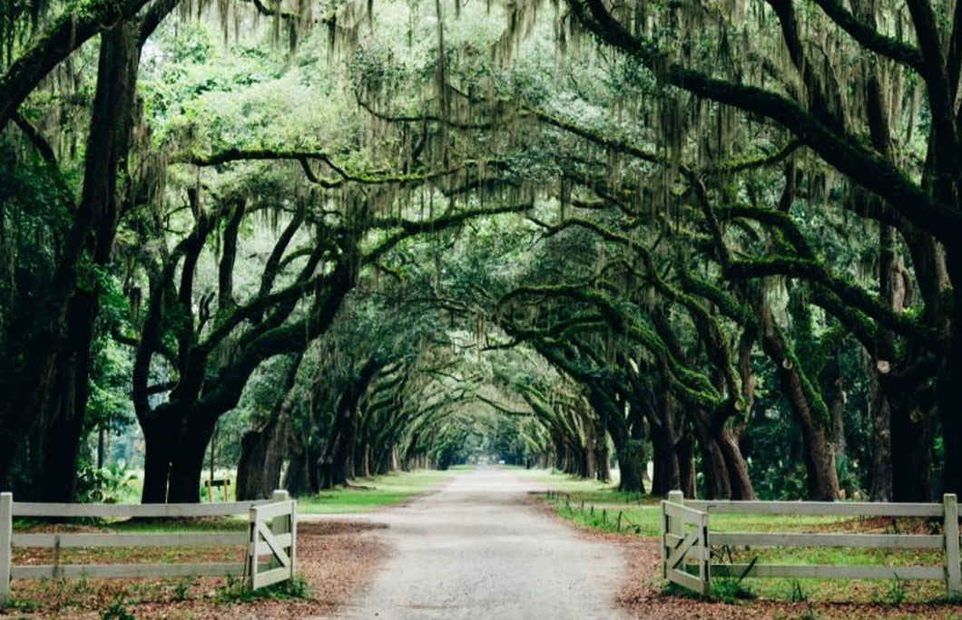 Savannah, Georgia