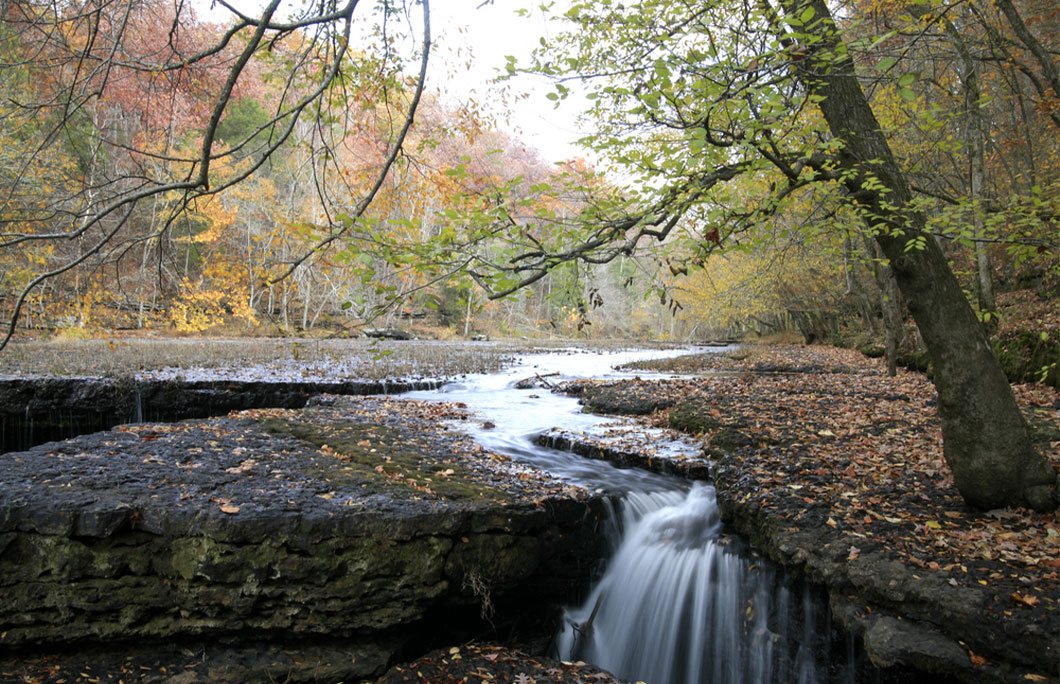 Screaming Eagle Trail