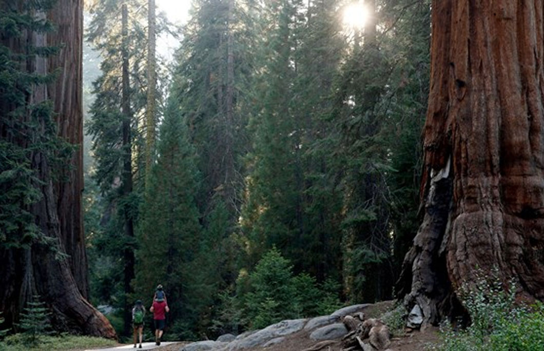 3. Sequoia National Park