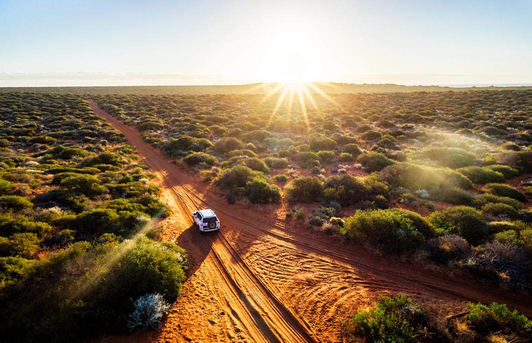 Shark Bay driving