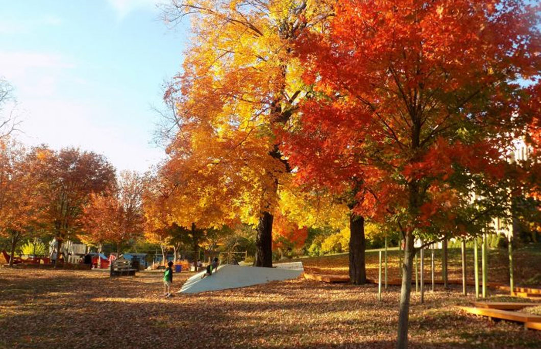 7. Smith Memorial Playground