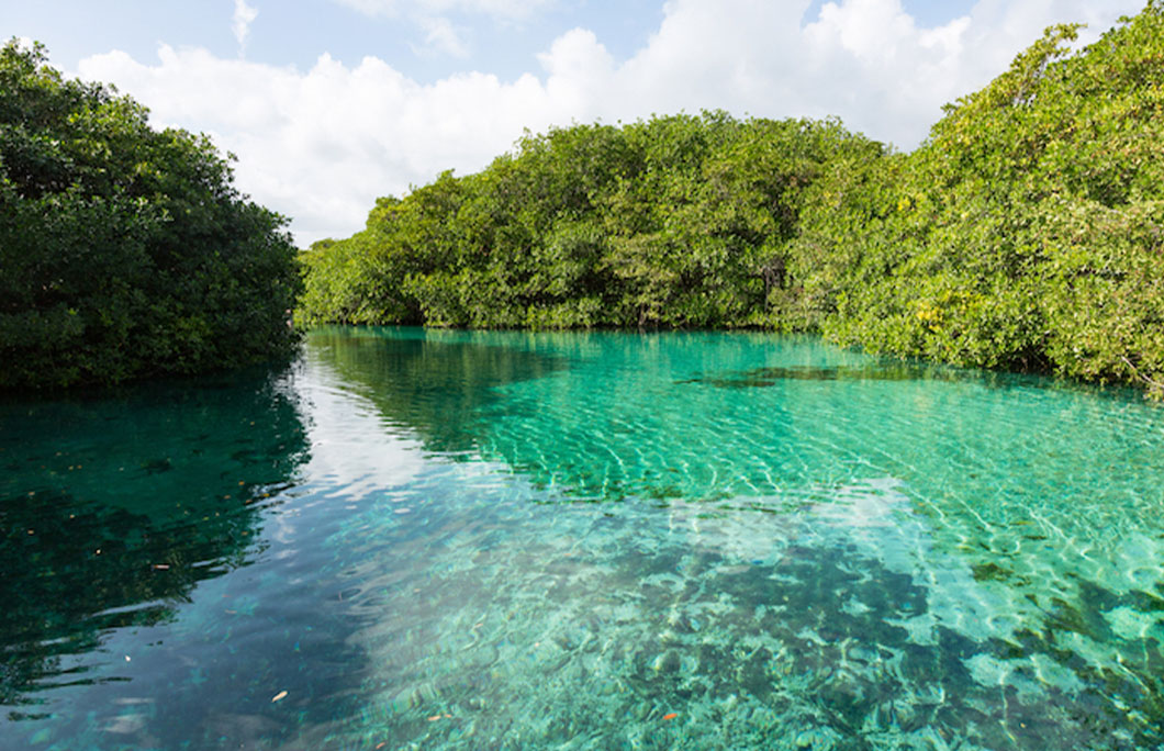 7. Casa Cenote