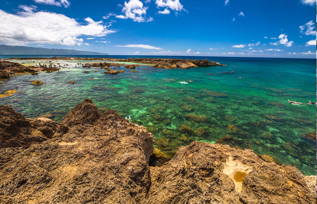 https://cdn.enjoytravel.com/img/travel-news/snorkeling-north-shore-sharks-cove.jpg