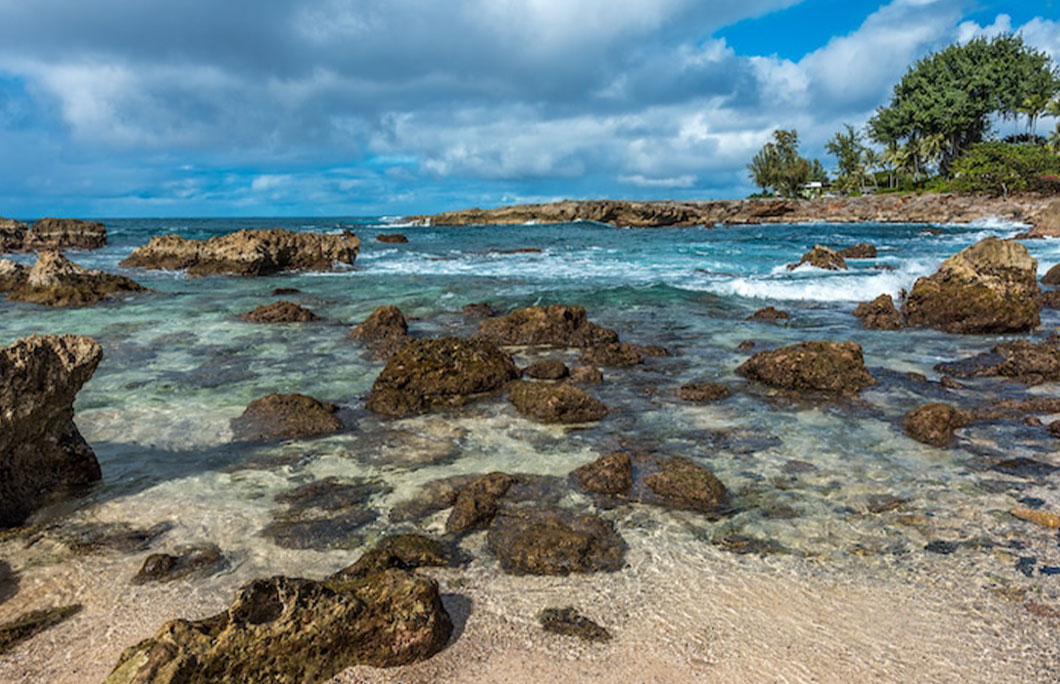 2. The Tide Pool