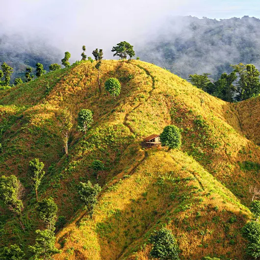 Bandarban Hill tract, Bangladesh