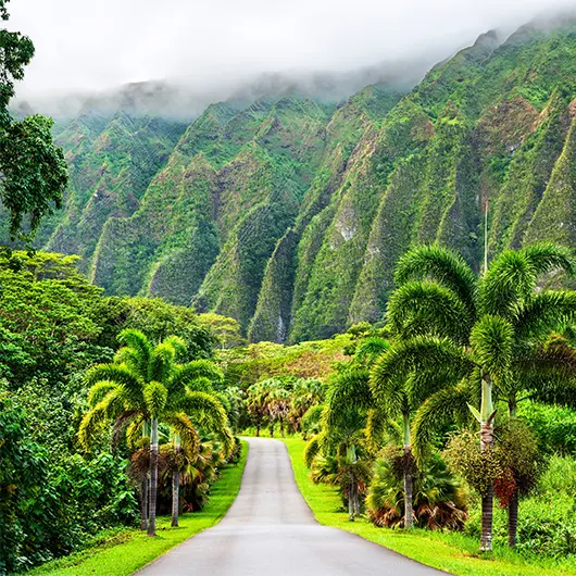 Ho'omaluhia Botanical Park