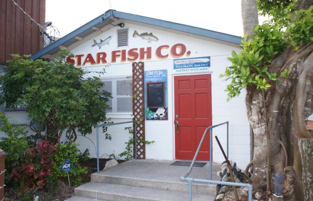 2. Star Fish Company – Cortez
