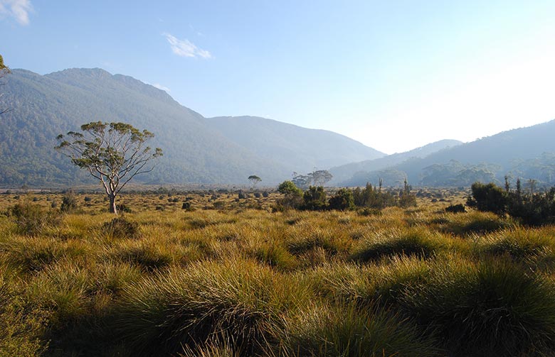 Steppes Conservation Reserve