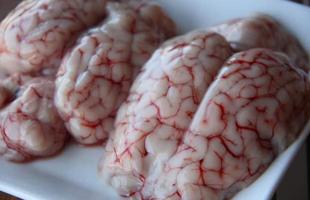 Lamb Brain