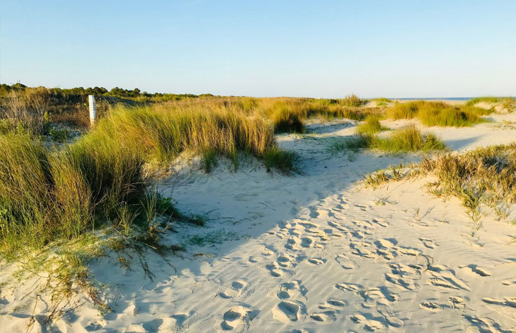 50. Sullivan’s Island, South Carolina