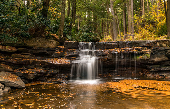 Swallow Falls State Park