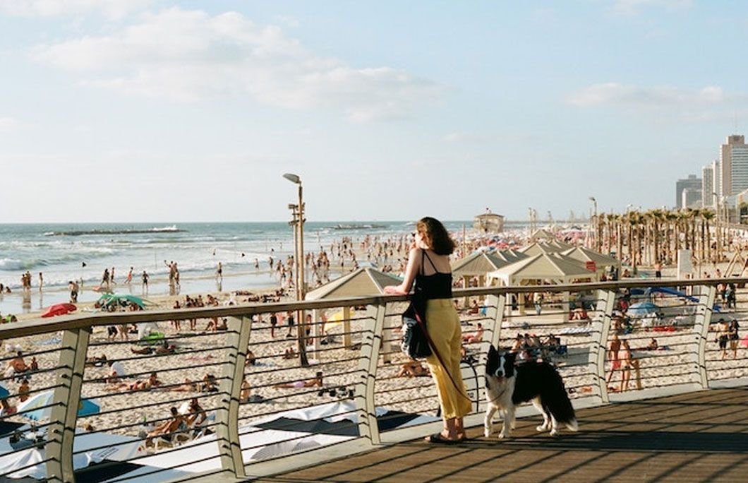 Tel Aviv has a high dog-to-human ratio