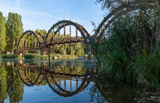 The Arch Bridge