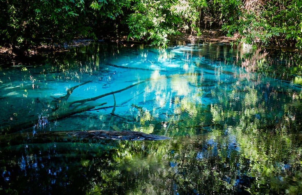 The Emerald Pool is in Krabi