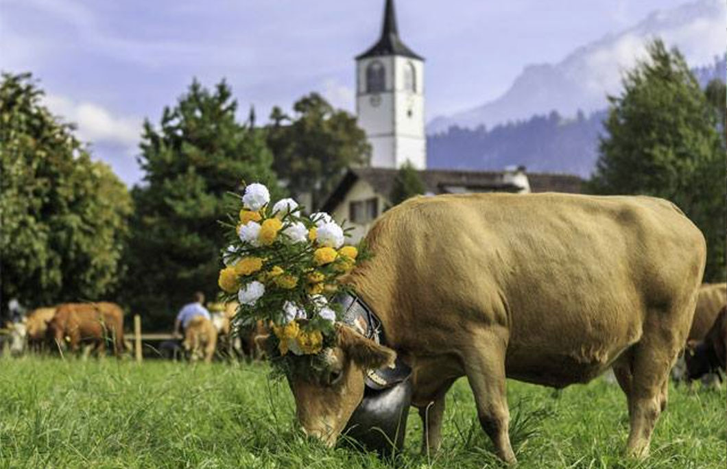 3. The Fondue Train – Bulle