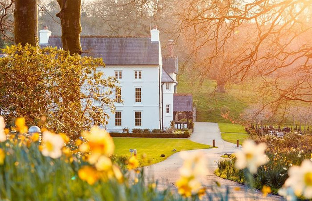 The Grove, Pembrokeshire