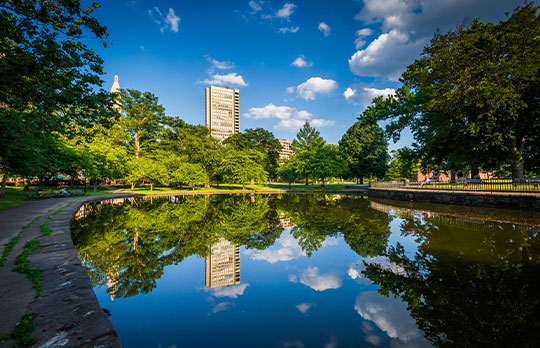 The Lily Pond At Bushnell Park