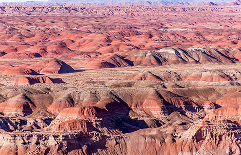 The Petrified Forest, Arizona