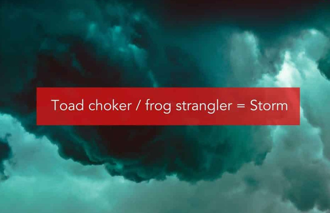 Toad choker / frog strangler = A heavy downpour or a bad storm