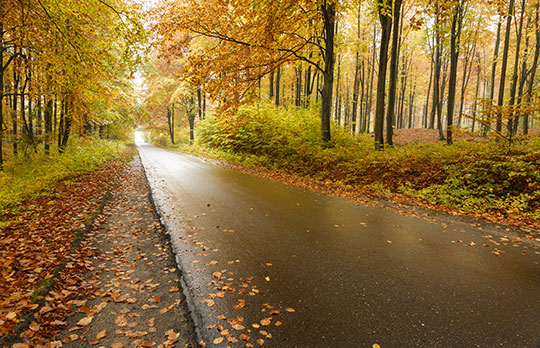 road trips in poland