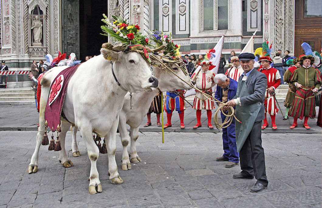 The Italian tradition is to wear red underwear to start th…