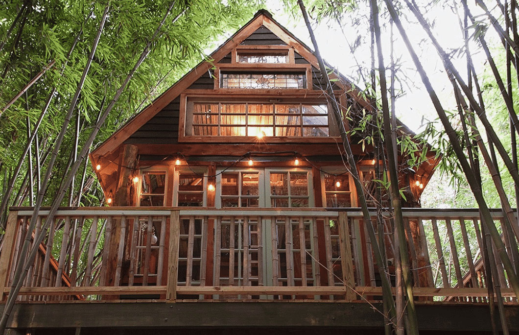 Treehouse in the Bamboo Forest (Atlanta, GA, United States) – Love Is Blind