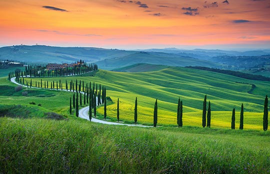 Tuscany Tour