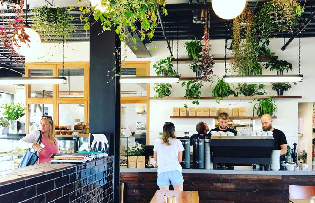 The 25 Best Coffee Shops In New Zealand