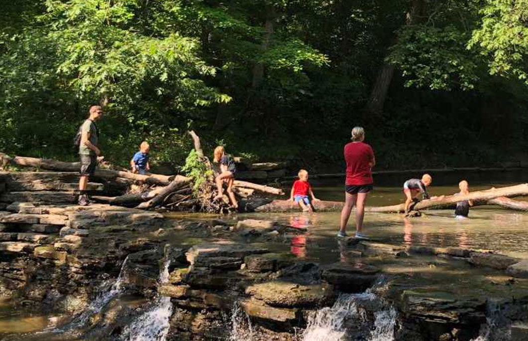 4. Waterfall Glen Forest Preserve