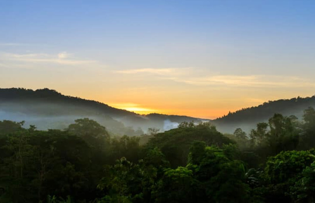 Weather in Phuket Or Chiang Mai