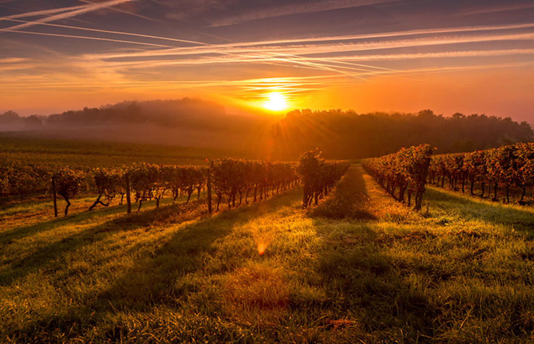 When to visit in Bordeaux or Toulouse