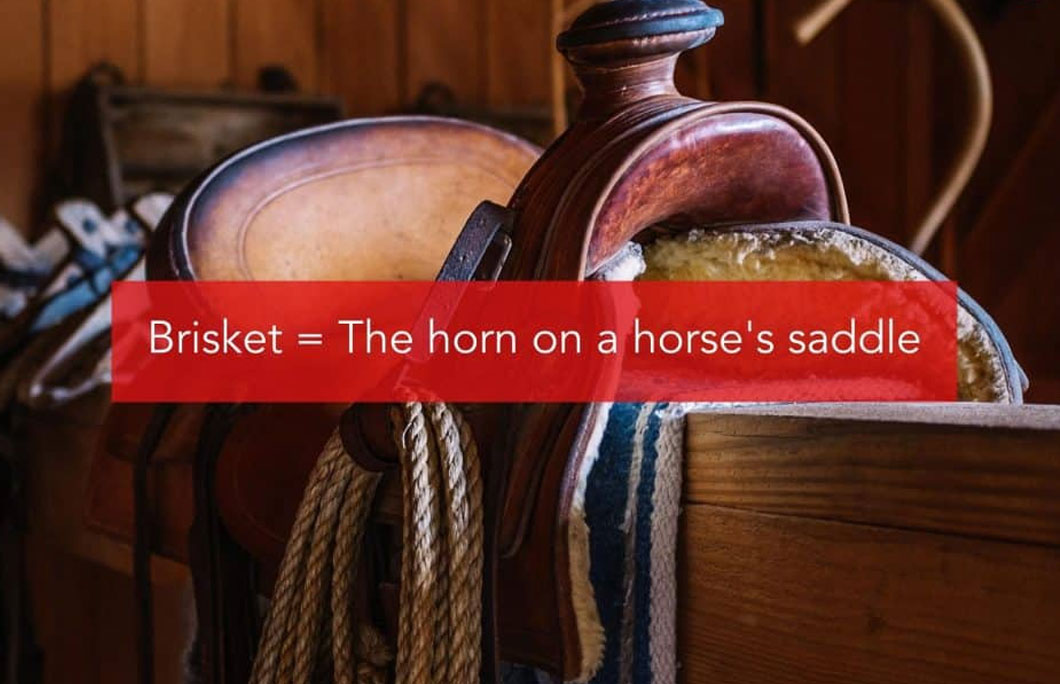 Brisket = The horn on a horse’s saddle