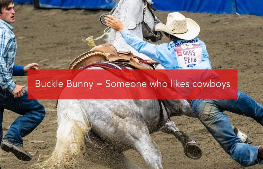 Buckle Bunny = Someone who likes cowboys
