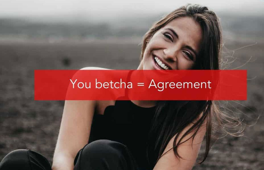 You betcha = Agreement
