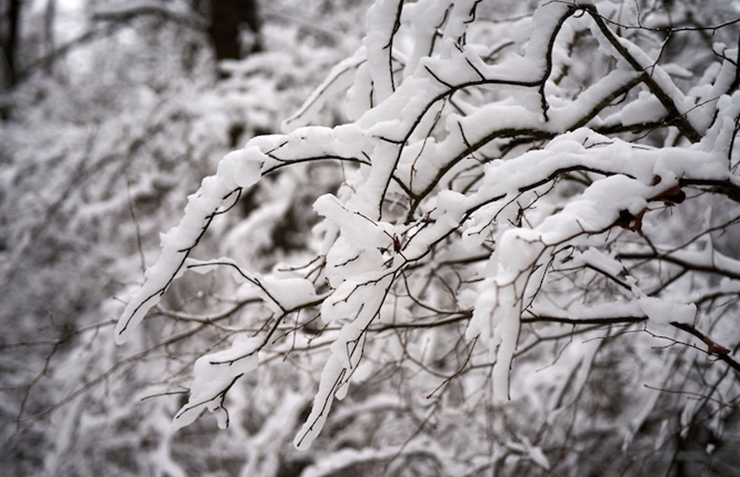 You’re unlikely to get a white Christmas in Miami